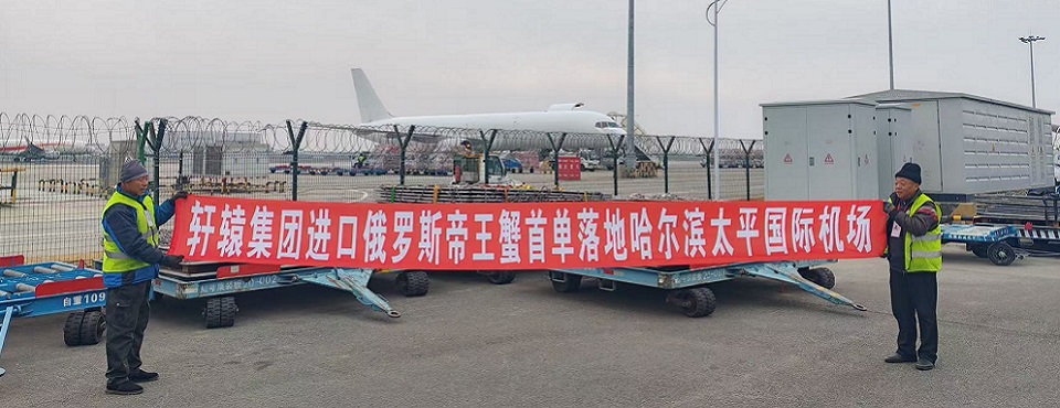 轩辕集团进口俄罗斯帝王蟹首单落地哈尔滨太平国际机场